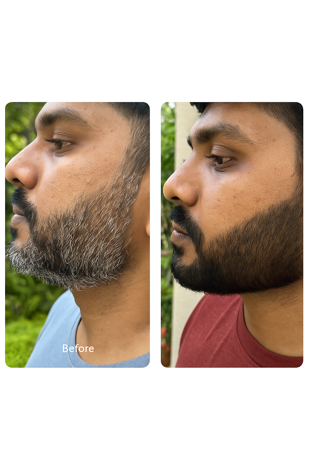 Never Go Grey Supplement