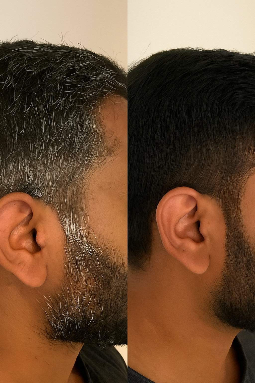 Never Go Grey Supplement